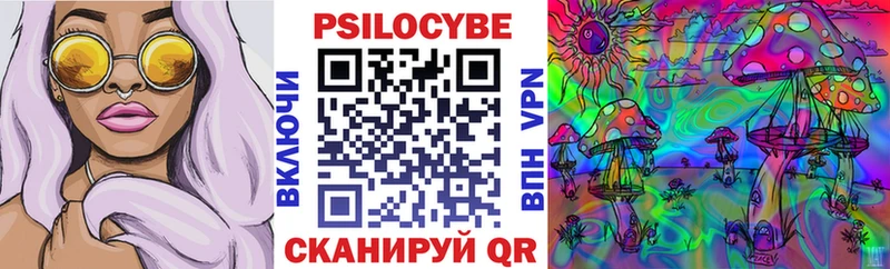 Псилоцибиновые грибы Psilocybine cubensis  закладка  Кочубеевское 
